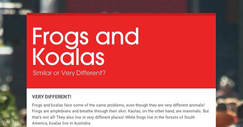 Frogs and Koalas | Smore Newsletters