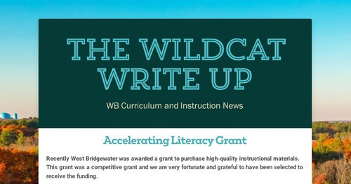 The Wildcat Write Up