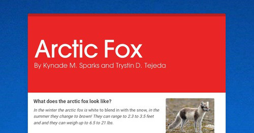 Arctic Fox | Smore Newsletters