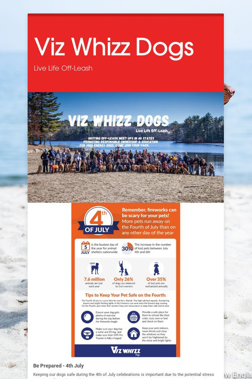 Viz Whizz Dogs