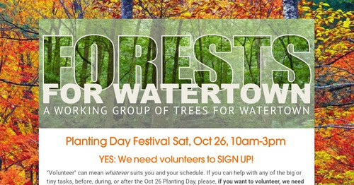 FORESTS FOR WATERTOWN