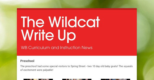 The Wildcat Write Up
