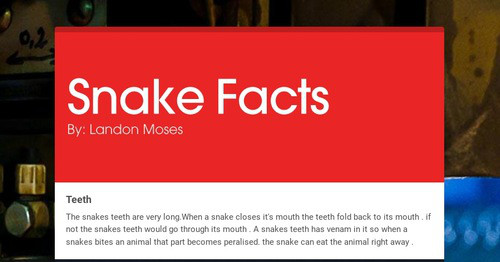 Design newsletters to spread the word online | Smore