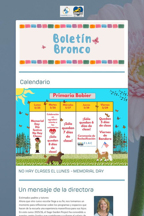 Boletín Bronco