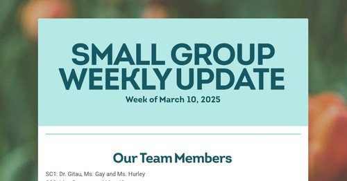 SMALL GROUP WEEKLY UPDATE