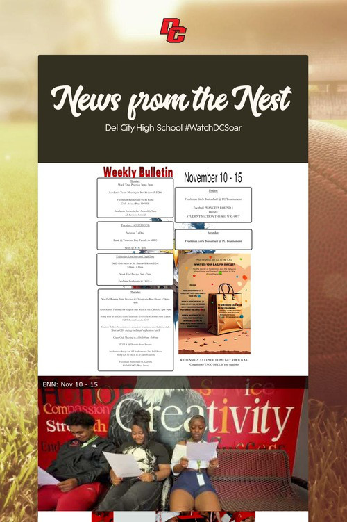 News from the Nest