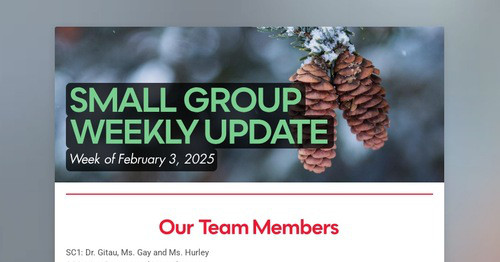 SMALL GROUP WEEKLY UPDATE