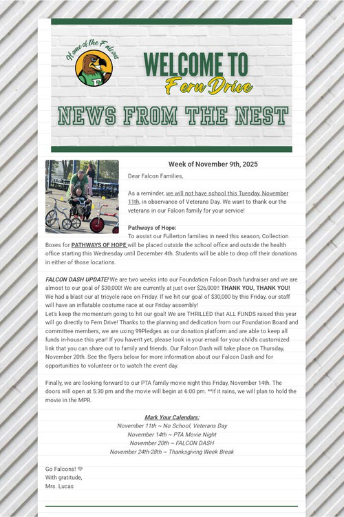 News From The Nest