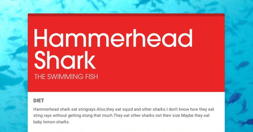 Hammerhead Shark | Smore Newsletters