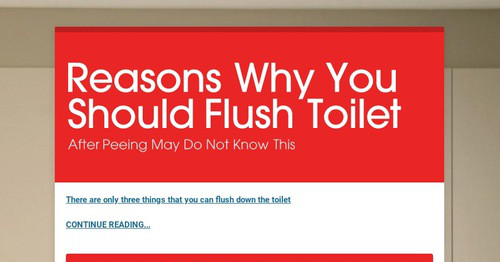 Reasons Why You Should Flush Toilet 