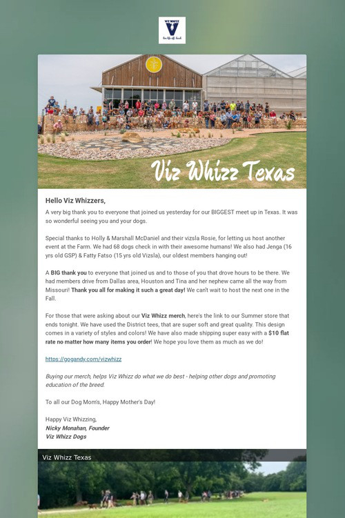 Viz Whizz Dogs