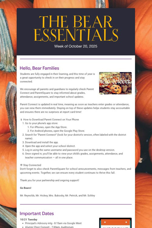 THE BEAR ESSENTIALS
