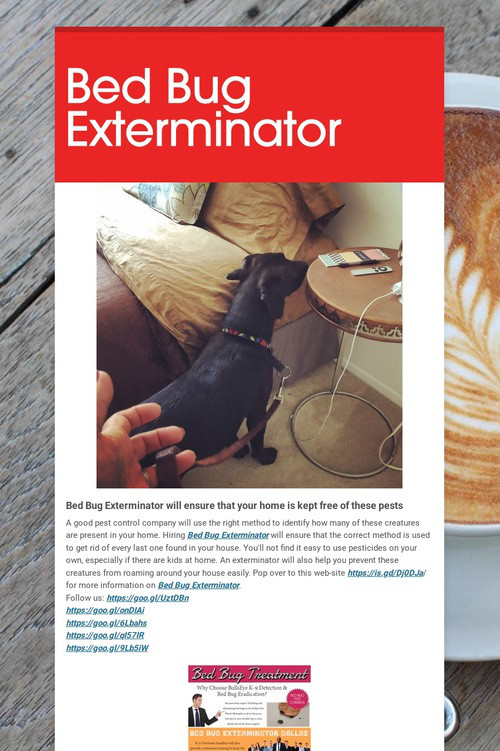 Bed Bug Exterminator