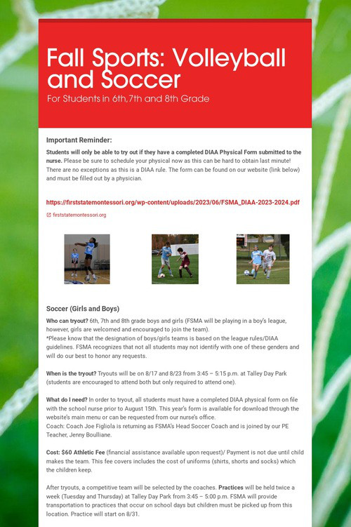 Fall Sports: Volleyball and Soccer