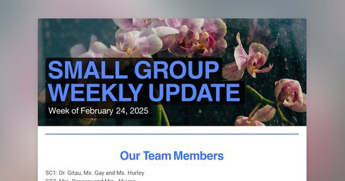 SMALL GROUP WEEKLY UPDATE