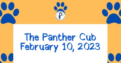 The Panther Cub