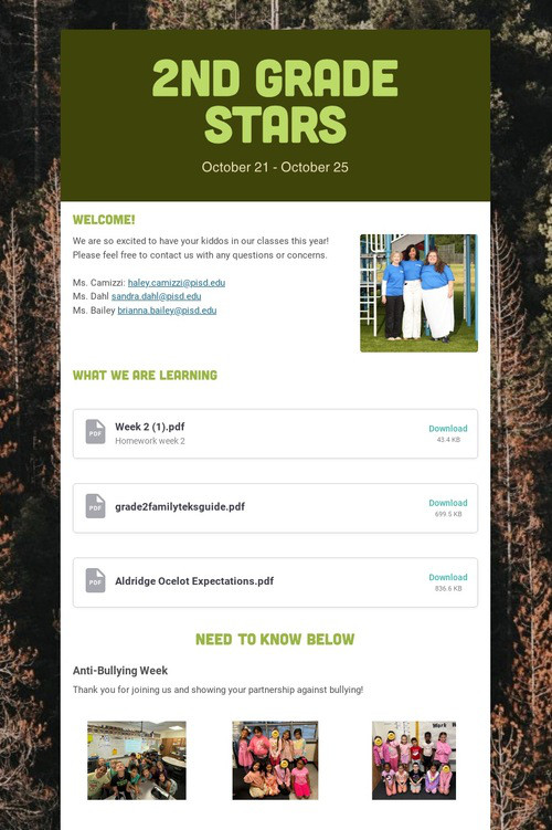 2nd Grade Stars