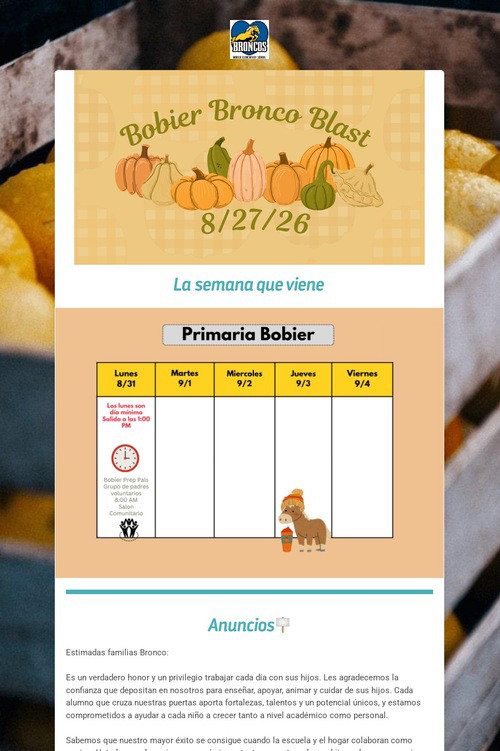 8/28/26 Spanish