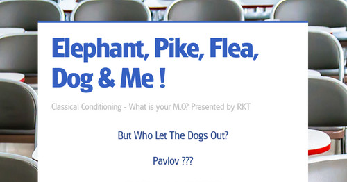 Elephant, Pike,  Flea, Dog & Me !