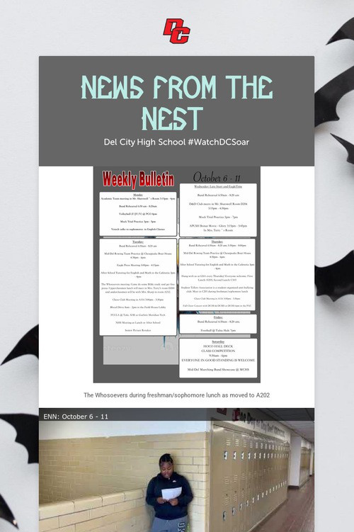 News from the Nest