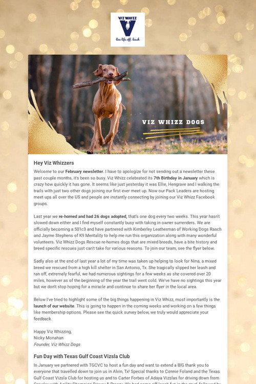 Viz Whizz Dogs, Live Life Off-Leash