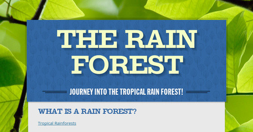 The Rain Forest