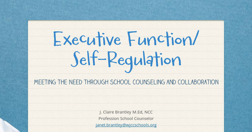 Executive Function/ Self-Regulation