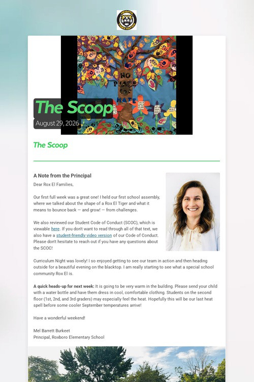 The Scoop