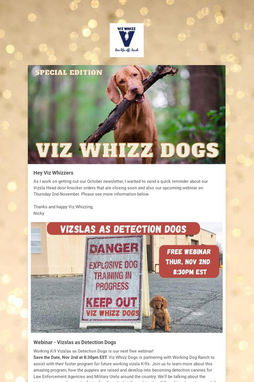 Viz Whizz Dogs, Live Life Off-Leash