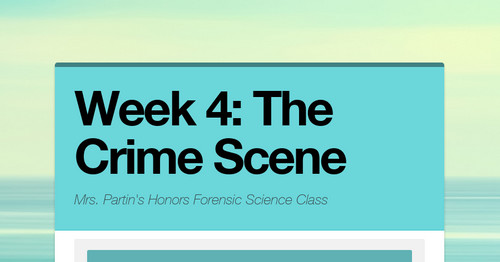 Week 4: The Crime Scene