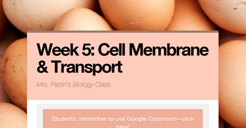 Week 5: Cell Membrane & Transport