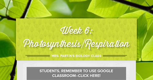 Week 6: Photosynthesis/Respiration