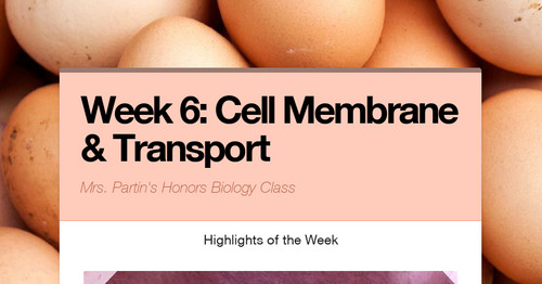 Week 6: Cell Membrane & Transport