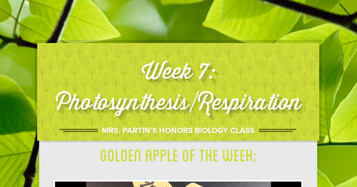 Week 7: Photosynthesis/Respiration