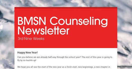 BMSN Counseling Newsletter