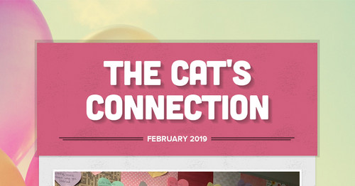 The Cat's Connection