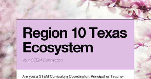 STEM Network News
