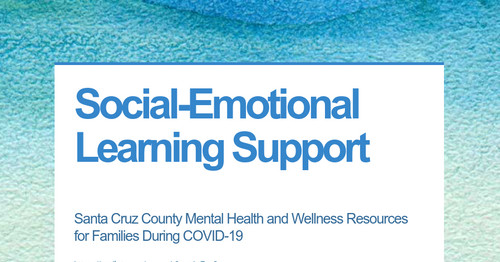 Social-Emotional Learning Support