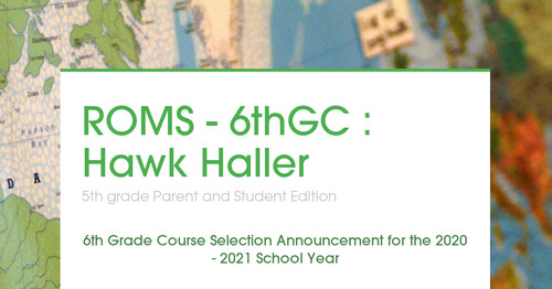 ROMS - 6thGC : Hawk Haller