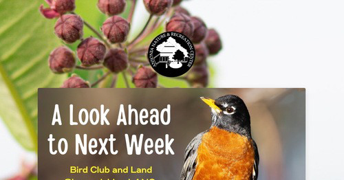 A Look Ahead to Next Week | Smore Newsletters for Education