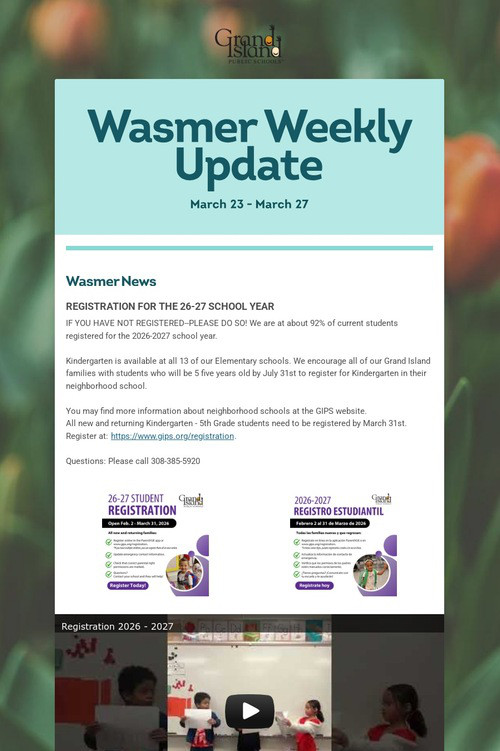 Wasmer Weekly Update