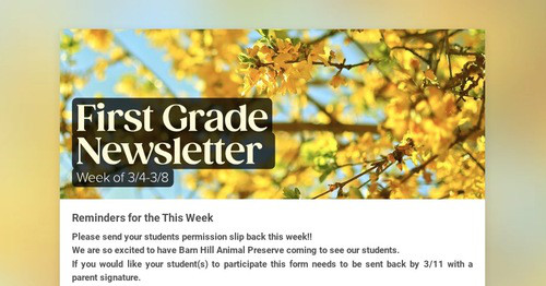 First Grade Newsletter