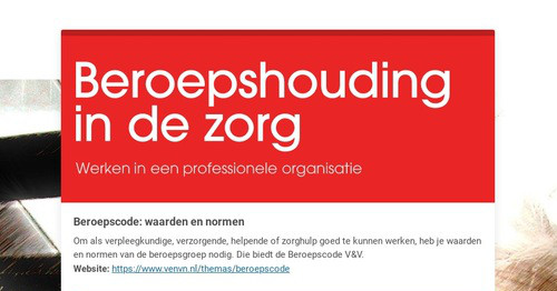 Beroepshouding in de zorg