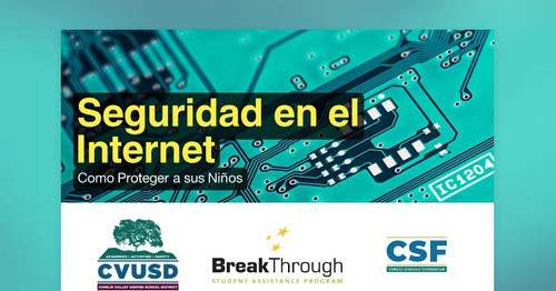 Seguridad en el Internet