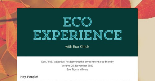 Eco Experience