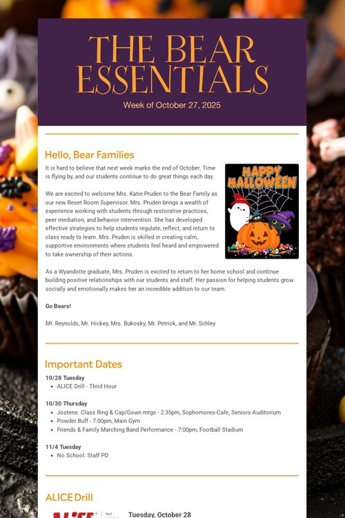 THE BEAR ESSENTIALS
