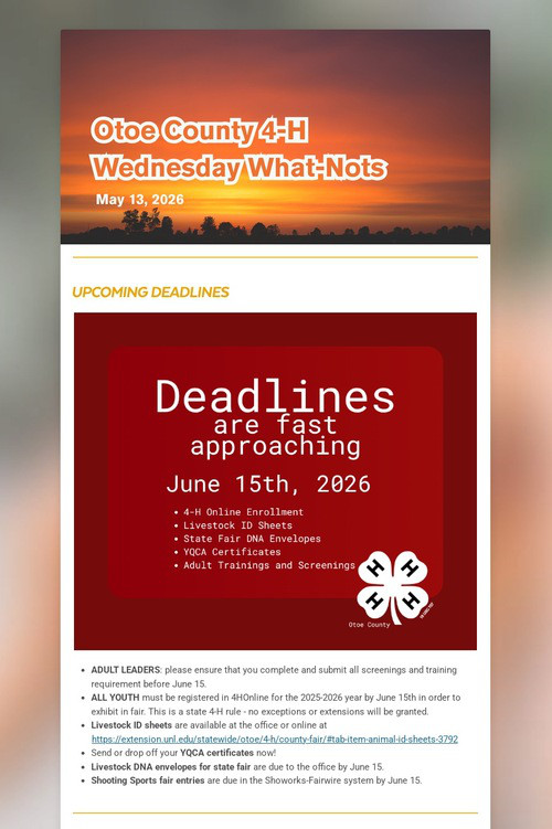 Wednesday What-Nots 5/13