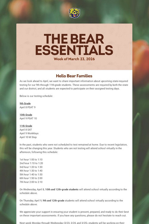 THE BEAR ESSENTIALS