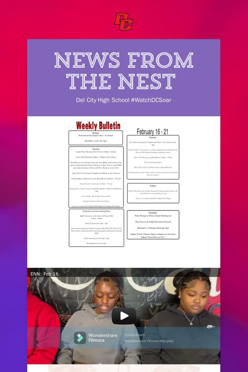 News from the Nest