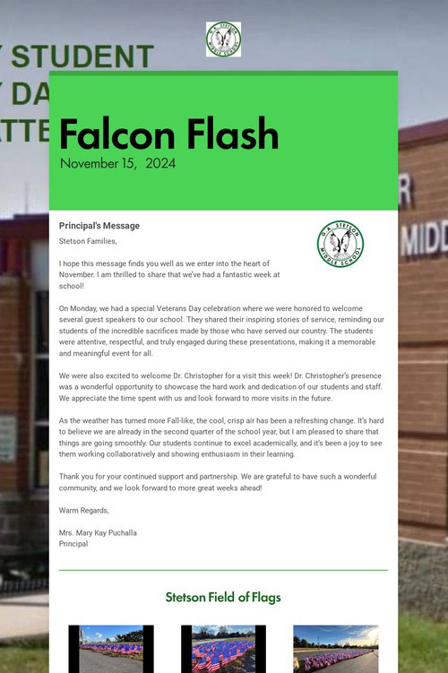 Falcon Flash